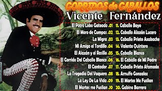 🔥🔥VICENTE FERNANDEZ CORRIDOS DE CABALLOS MIX🔥🔥PURAS PARA PISTEAR SELECCIÓNADAS VICENTE FERNÁNDEZ 🍻🍻 [upl. by Aedni74]