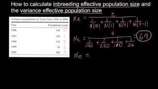 How to calculate inbreeding effective population size and the variance effective population size [upl. by Vada]