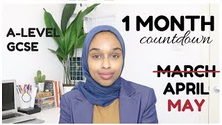 GCSEALEVELS 2019  ONE MONTH COUNTDOWN  How To Study Last Minute [upl. by Gamal]