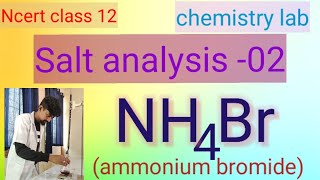 NCERT Class 12chemistry practical salt analysis 02NH4BrAmmonium bromide [upl. by Ayotl795]