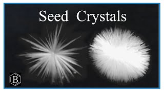 Seed Crystals in real time [upl. by Aikyt457]