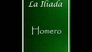 LA ILIADA  HOMERO AUDIOLIBRO COMPLETO CANTO 124 [upl. by Akiras836]