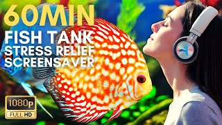 60min Soothing Discus Aquarium Fish Tank Screensaver For TV Aquatic Sleep Relax Meditation Music [upl. by Leizo]