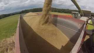 Getreideernte in Oberhessen 2014 Claas Lexion 760 mit Vario 900 [upl. by Adamec]