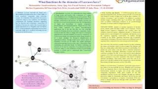 Laccase presentation at BSB13 by MOHANALATHA CHANDRADESKHARAN [upl. by Muirhead]