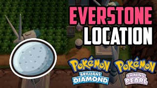 Where to Find Everstone  Pokémon Brilliant Diamond amp Shining Pearl All Methods [upl. by Domingo]