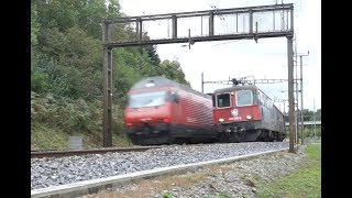 Swiss Trains September 2018 [upl. by Ardnaek]