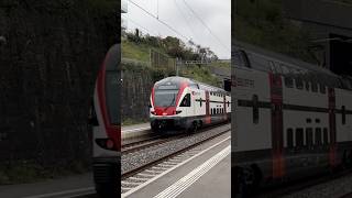 SBB CFF FFS 511 019 2024 fastspeed railway train trainspotting swissrail shorts automobile [upl. by Cecil578]