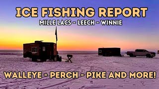 Ice Fishing Report Leech Lake Lake Winnie and Mille Lacs Lake 02022024 [upl. by Nwahsel619]