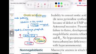 Orotic aciduria haematology 40 First Aid USMLE Step 1 in UrduHindi [upl. by Jasmine]