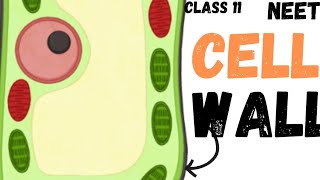 NEET CELL  THE UNIT OF LIFE  CELL WALL  CLASS 11 neet ncert youtube youtubeshorts cell [upl. by Trainer]