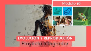 Proyecto Integrador Semana 4  Módulo 16 [upl. by Cir314]