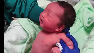 Bathing a newborn baby in hospital  Babys First Bath [upl. by Ennoirb]