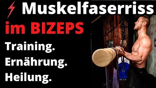 Muskelfaserriss im Bizeps  Training amp Ernährung für schnellere Heilung [upl. by Kroo673]