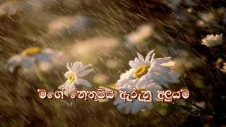 Mage Nethu Piya  Sinhala Christian Song [upl. by Sitra]