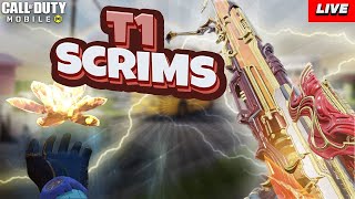 PRO CODM SCRIMS VS RJX TRIBE [upl. by Inek330]