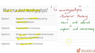 What is true about neurohypophysis [upl. by Caves]