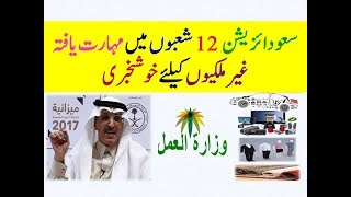 12 Sectors Saudization New Update Labour minstry Every Thing Easy Saudi News [upl. by Py95]