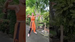 SIMPLE amp EASY ARMS DANCE WORKOUT for beginners amp Seniors [upl. by Aerdua610]