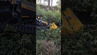 RC MOWER ROBOCUT SMASHING BRAMBLES automobile farminggolf forestrymowing [upl. by Berry]