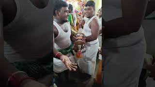 108 Pushpa kavadi tiruchendur 20242 [upl. by Eivi]