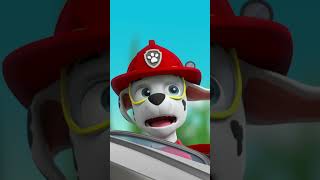 PAW Patrol  ¡Marshall se hace pequeño con el rayo encogedor de Ryder y Rocky Shorts [upl. by Sheelagh836]