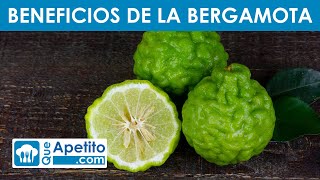 8 Propiedades y Beneficios de la BERGAMOTA 💁‍♀️✅  QueApetito [upl. by Sadick]