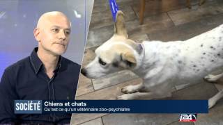 Quest ce quun vétérinaire zoopsychiatrie [upl. by Norby]