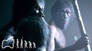 Homo Erectus Ergaster  Final Evolution Leap and Cinematics  Ancestors The Humankind Odyssey [upl. by Acinomaj193]