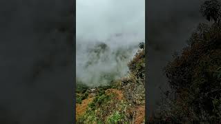 Nature on the Inca Trail [upl. by Cordi284]