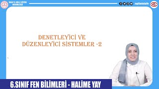 DENETLEYİCİ VE DÜZENLEYİCİ SİSTEMLER 2  6SINIF FEN BİLİMLERİ  EĞİTİM TOKAT TV [upl. by Eromle]