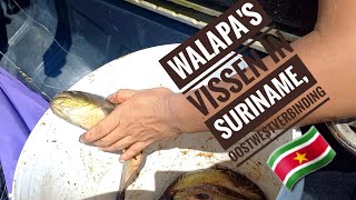 deel2 part2 vissen aan de Oostwestverbinding in Suriname fishing in Suriname [upl. by Eolanda]