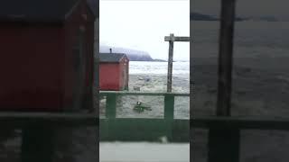 Uncut and Unseen Greenland Tsunami  BIG WAVE in Greenland [upl. by Esinyt]