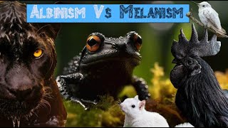 What is Melanism [upl. by Godding]