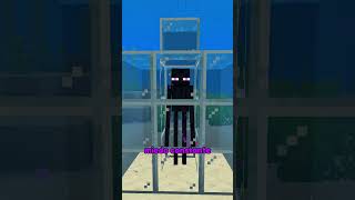 Cómo torturar a un enderman en Minecraft 🤫 [upl. by Elsilrac]