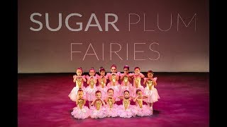 Sugar Plum Fairies PrePrimary Ballet  DancePot 3rd Concert 2018 [upl. by Delsman]