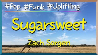 Lyrics Sugarsweet  Zach Sorgen  I’m on the road it’s my timeTaking control of my life [upl. by Rehposirhc]