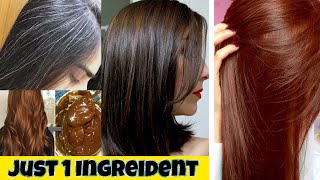 Coffee BROWN HAIR DYE at Home 100 Result with in 15 Minutes Silky amp Manageable [upl. by Brigham]