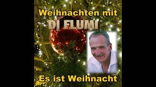 DJ FLUMI  Es ist Weihnacht [upl. by Thorfinn]