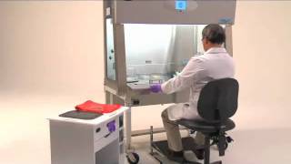 Laboratory Safety Starts with Proper Ergonomics [upl. by Yrro]