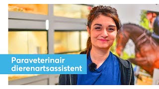 Esma vertelt over de opleiding  Paraveterinair dierenartsassistent  Niveau 4 [upl. by Florina]