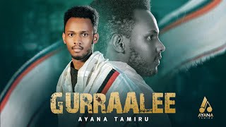 Ayana Tamiru  Gurraalee  New Ethiopian Oromo Music 2024   Official Music Video [upl. by Nerreg]