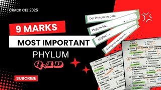 9 Marks PHYLUM 🔥 Important Questions of Phylum For CEE Exam [upl. by Avigdor371]