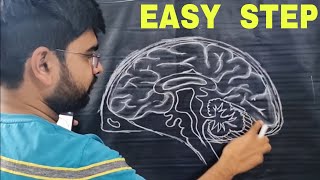 How to draw Human Brain diagram class 10 [upl. by Boynton]