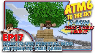 ATM6 TO THE SKY  How to use Pedestal Mod  Automatic Tree Farm  EP17 [upl. by Dorothee474]