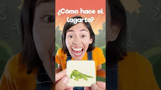 🦎 menique leon lagarto lobo videosgraciosos 123andres alfabeto aprendeespañolonline [upl. by Nonad]