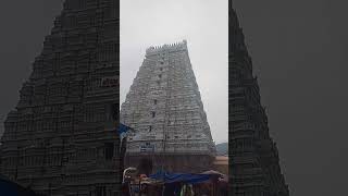 Thiruvanna malai raja kopuram Siva song sivan kovil siva sivamani god songssonglyrics cute [upl. by Alameda]