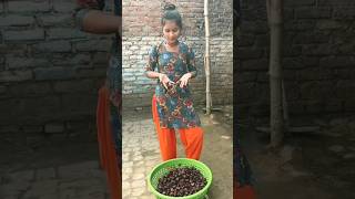 Shahjahanpur ki gudiya Rani ka topper dance new episode Shahjahanpur ki gudiya ka viral video [upl. by Sukhum]