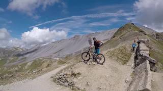 MTB Val ForcolaStelvio [upl. by Babby]