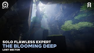 Solo Flawless Expert The Blooming Deep Lost Sector Hunter Destiny 2 [upl. by Naeloj]